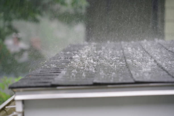 Best Roof Insulation Installation  in Hermann, MO