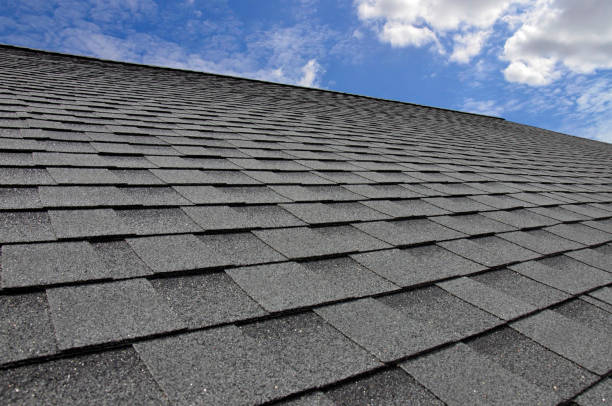 Best Solar Panel Roofing Installation  in Hermann, MO